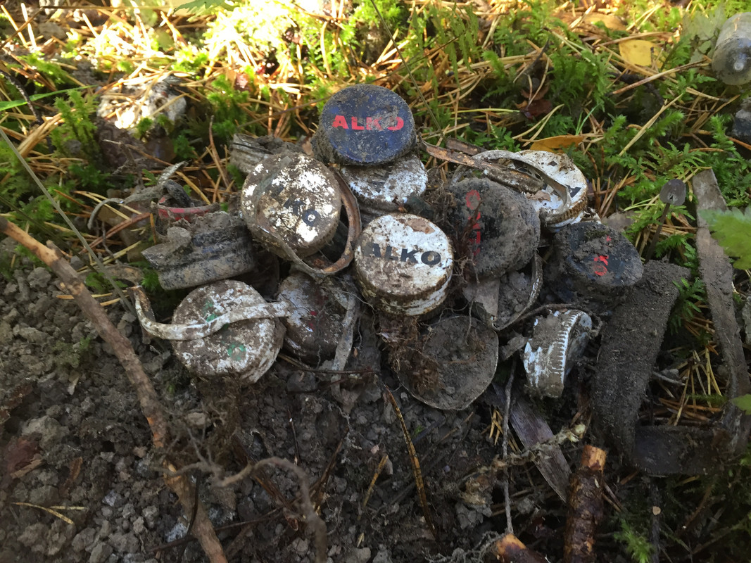 8D2AE717-EDC5-4F56-8F16-B6AFC1B2C614