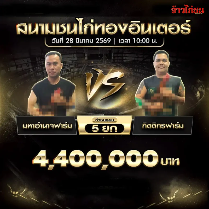 โปรแกรมไก่ชน คู่ มหาอำนาจฟาร์ม พบ กิตติกรฟาร์ม วันที่ 28 มีนาคม 2569