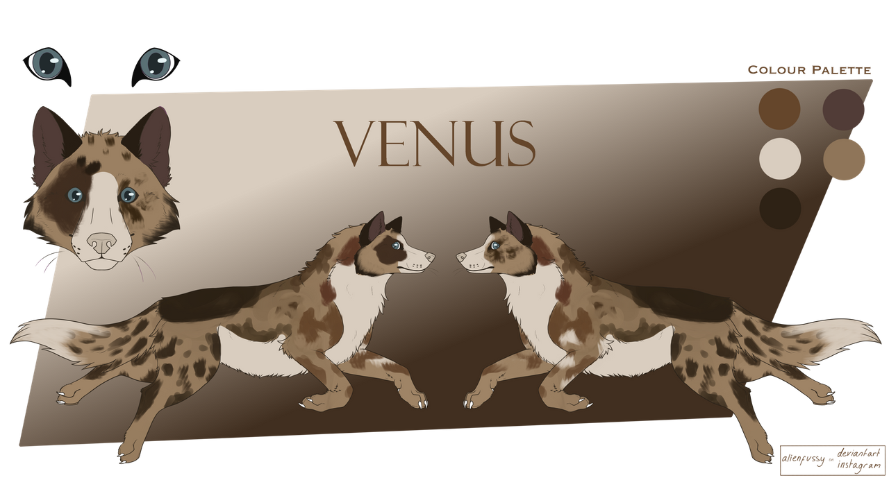 Venus-ref.png