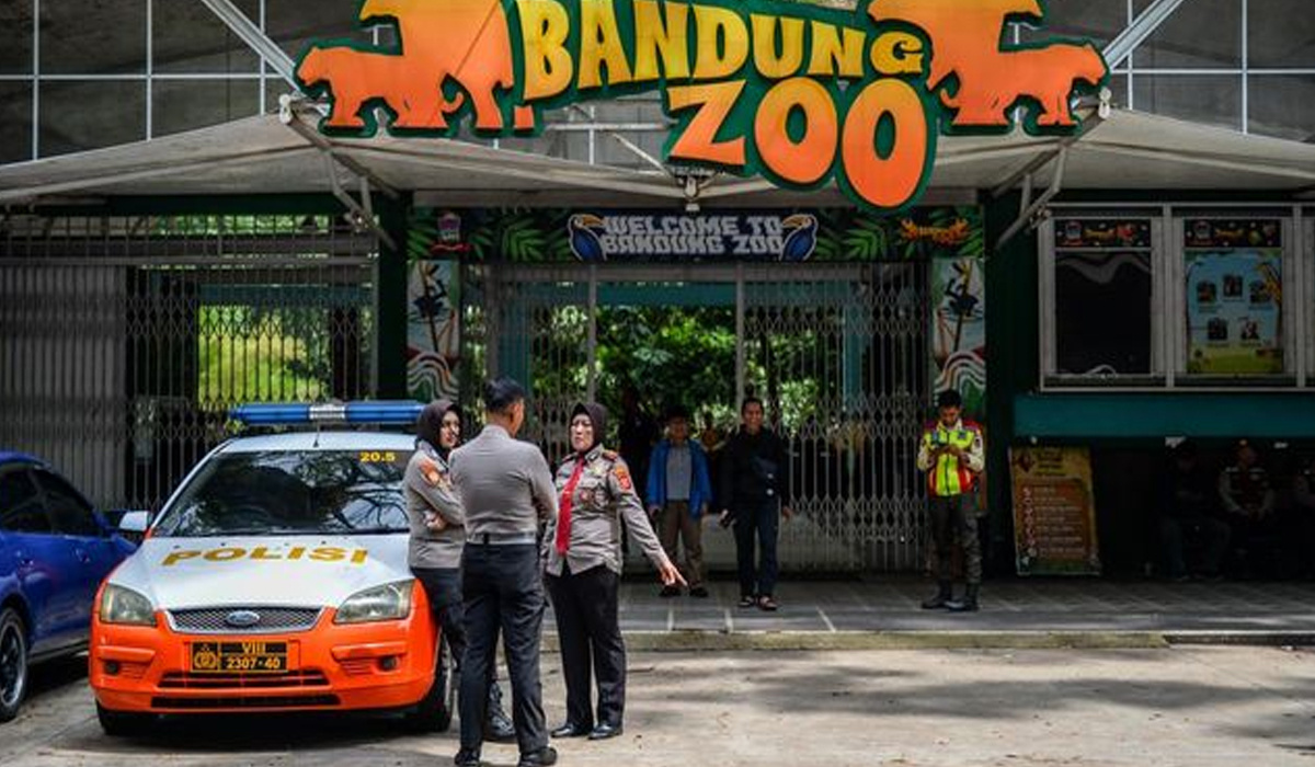 Dampak Fatal Pada Kesejahteraan Satwa