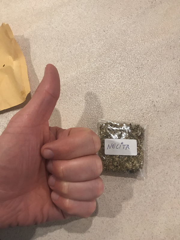 660C5121-2597-4A90-B55F-F766E39800C7