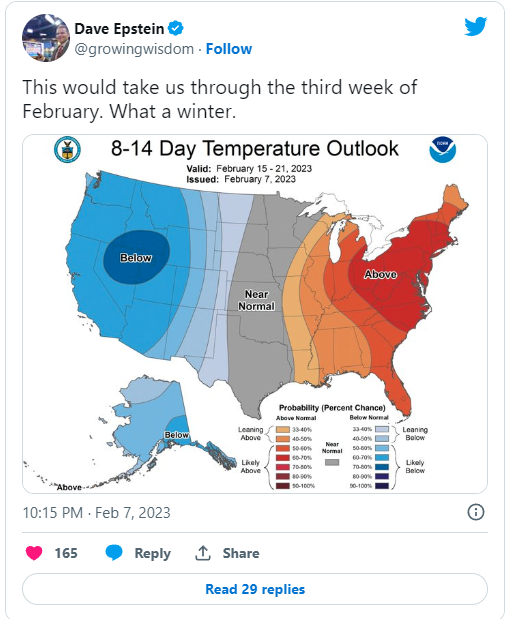 forecast