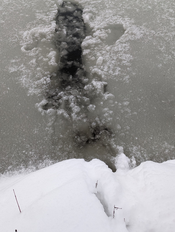 PXL_20240113_211006388