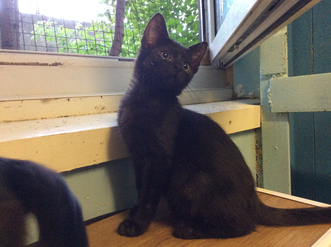 6DDC7494-648E-4CA2-9F3D-CBDFF1F2C450