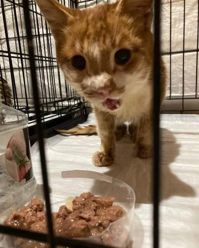 IMG-b71b31b9e3f8c8f0358d85f955afc227-V