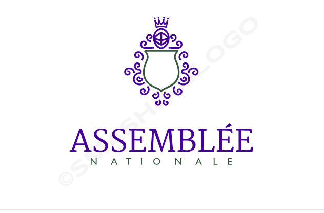 https://i.postimg.cc/BQH06F0M/assembl-e-nationale-logo.png