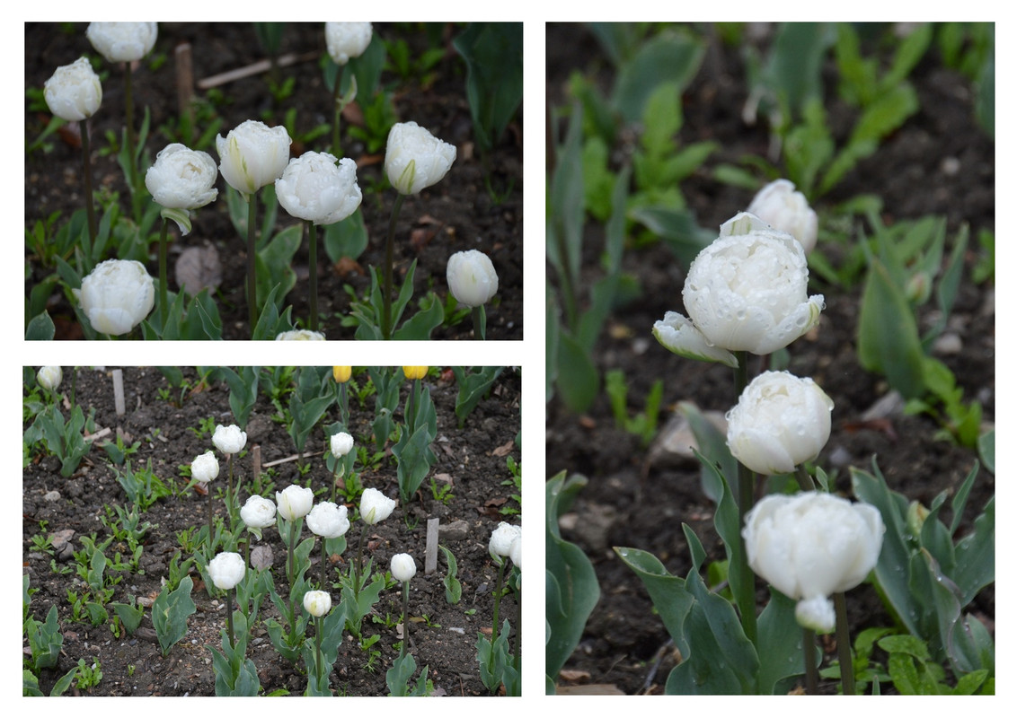 Новый коллаж.jpg 14