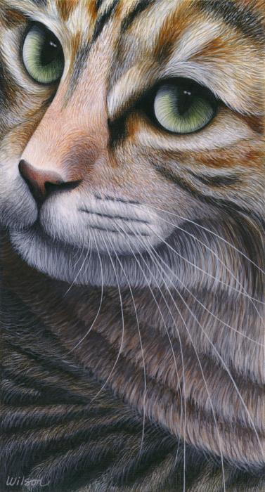 36-cropped-cat-2-carol-wilson-002