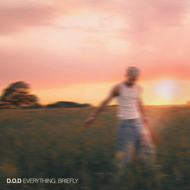 D.O.D - Everything, Briefly (Extended Mix)