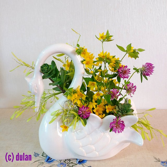 [Image: IMG-20240616-150758.jpg]