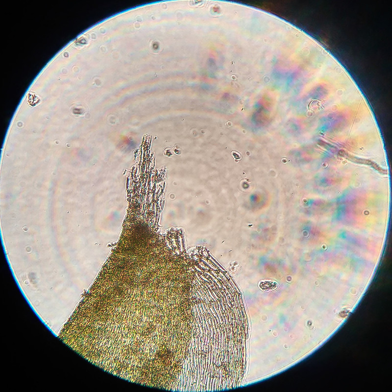 IMG 20250616 220054 HDR