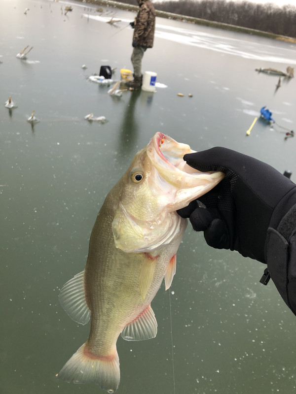 1FA1F9B3-CEB4-4B9C-8DD4-5F82DB7A7348