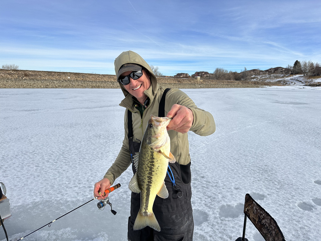 43085C08-B258-4F9D-B4B0-F168E0FF573E