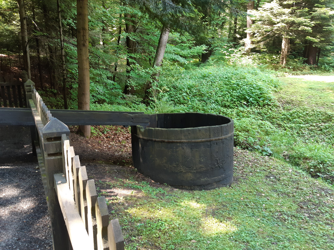 04.08 - 20220617_111235 (PiTT)