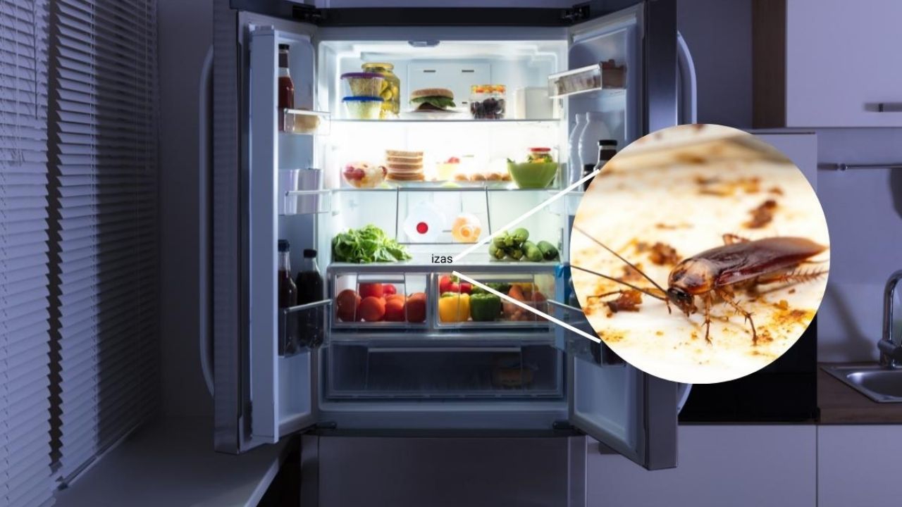 ¿Cómo eliminar a las cucarachas que viven en el refrigerador?