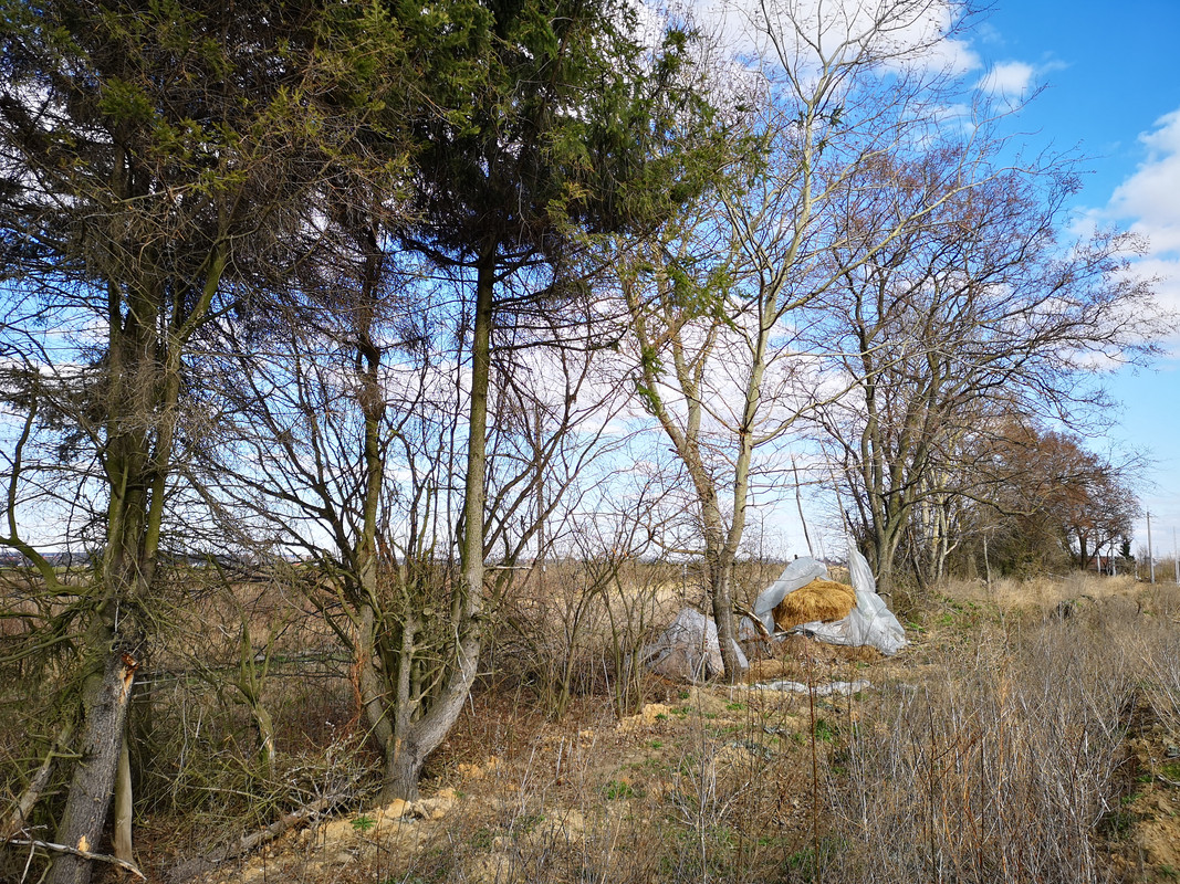 [Obrazek: IMG-20190401-151830.jpg]