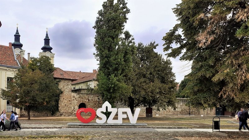 Slika