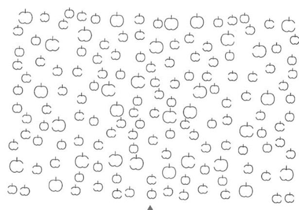 apples5