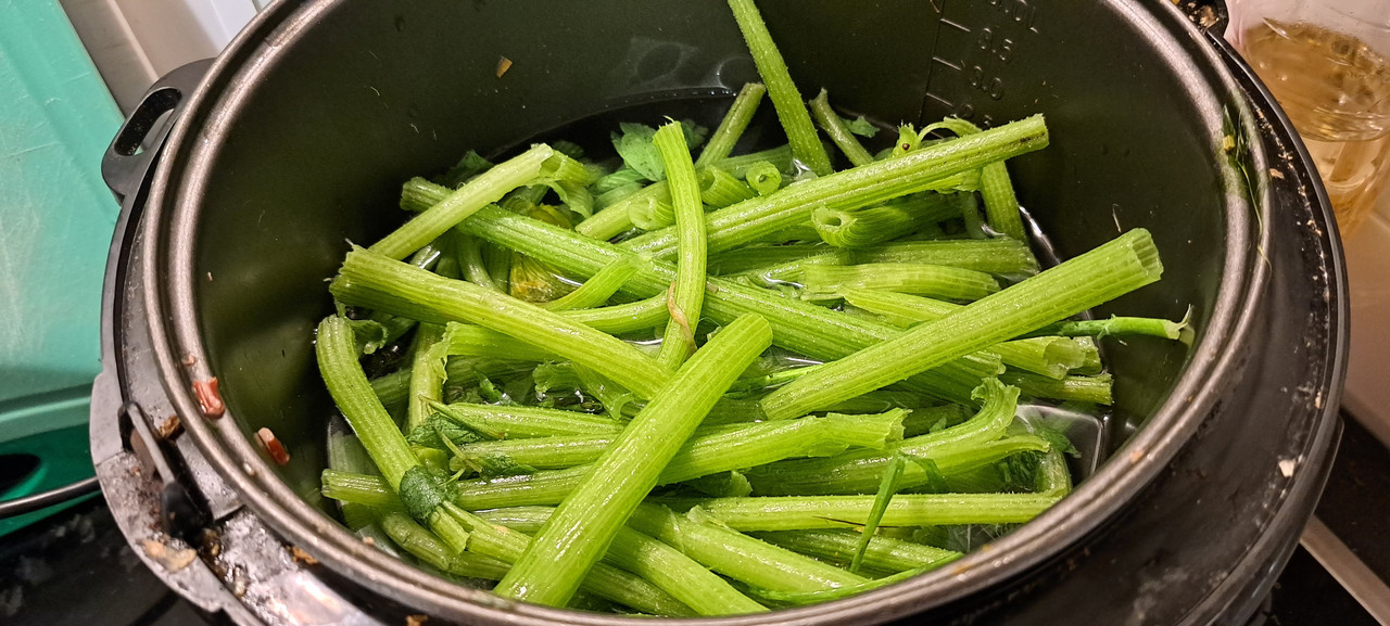 [Image: 20231013-191705.jpg]