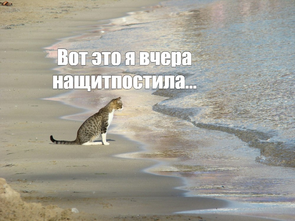 23a3e2348ac856756de0797cb83f5fe3.jpg
