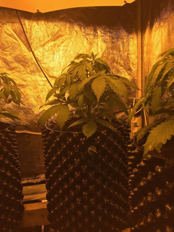 6FA372D5-0EA6-48ED-8298-D39EA25847B7