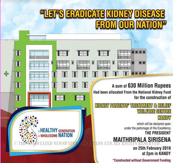 kandykidney.jpg