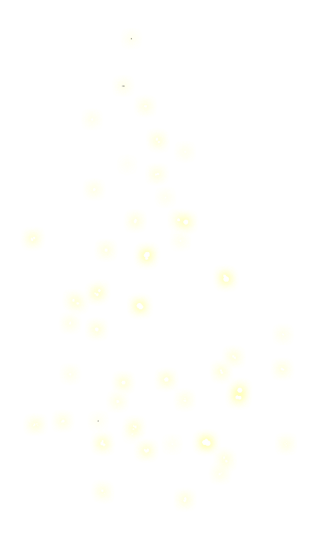 Halloweenpumpkitdnlights