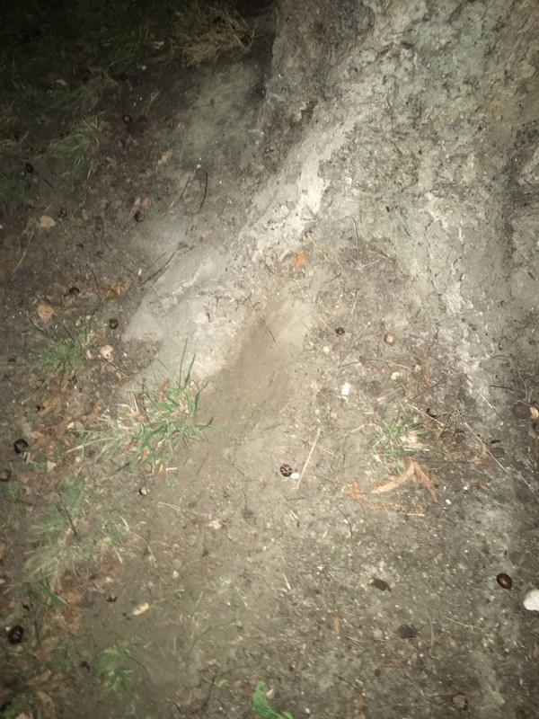 2210A150-4C5C-4E94-AC01-BFB4E9EA9517