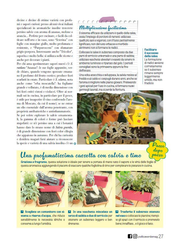 Pol Ver Mar 2024 (6)