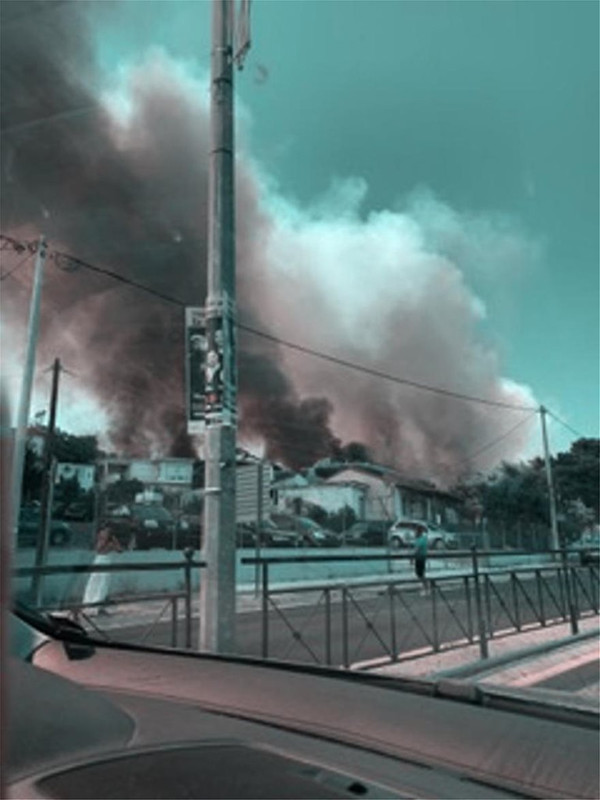 fotia3