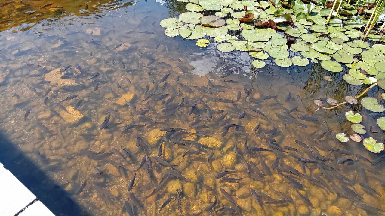 438231925_1093215695073100_6311075123267262514_n