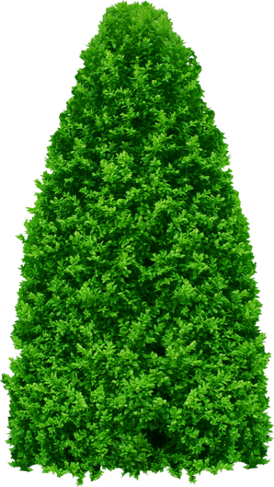 e75