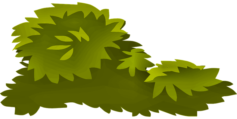 Halloweenpumpkitdngreen