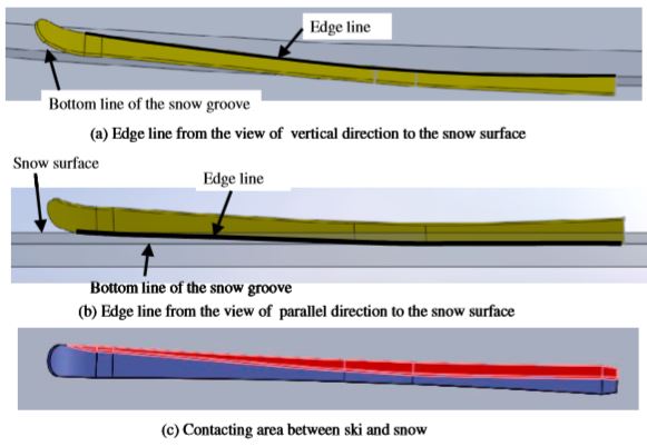Ski-Snow-Contact-XSection.jpg