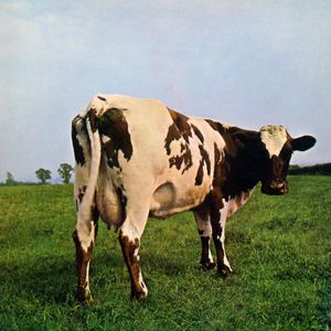 Re: Pink Floyd