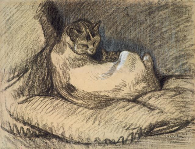 La-Mere-Chatte-drawing-Nicolas-Teeuwisse-Gallery