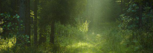 Untitled354_20240526140357
