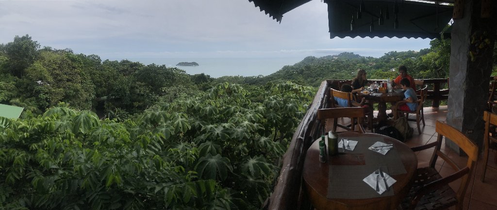 DIA 12: TRASLADO A DOMINICAL Y COCODRILOS EN TÁRCOLES - DE TORTUGAS Y PEREZOSOS. COSTA RICA 2019 (19)