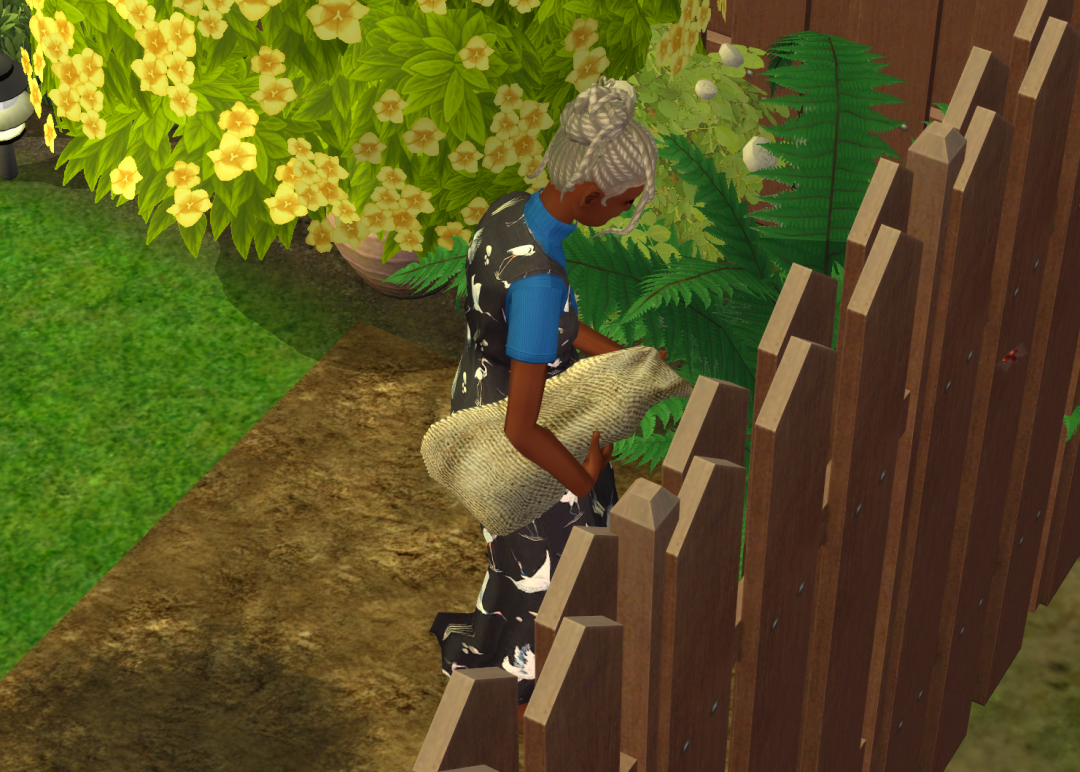 Sims2-EP9-RPC-2023-02-17-21-37-51-77