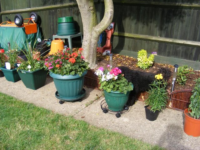 DSCF0028-jpg-original.jpg