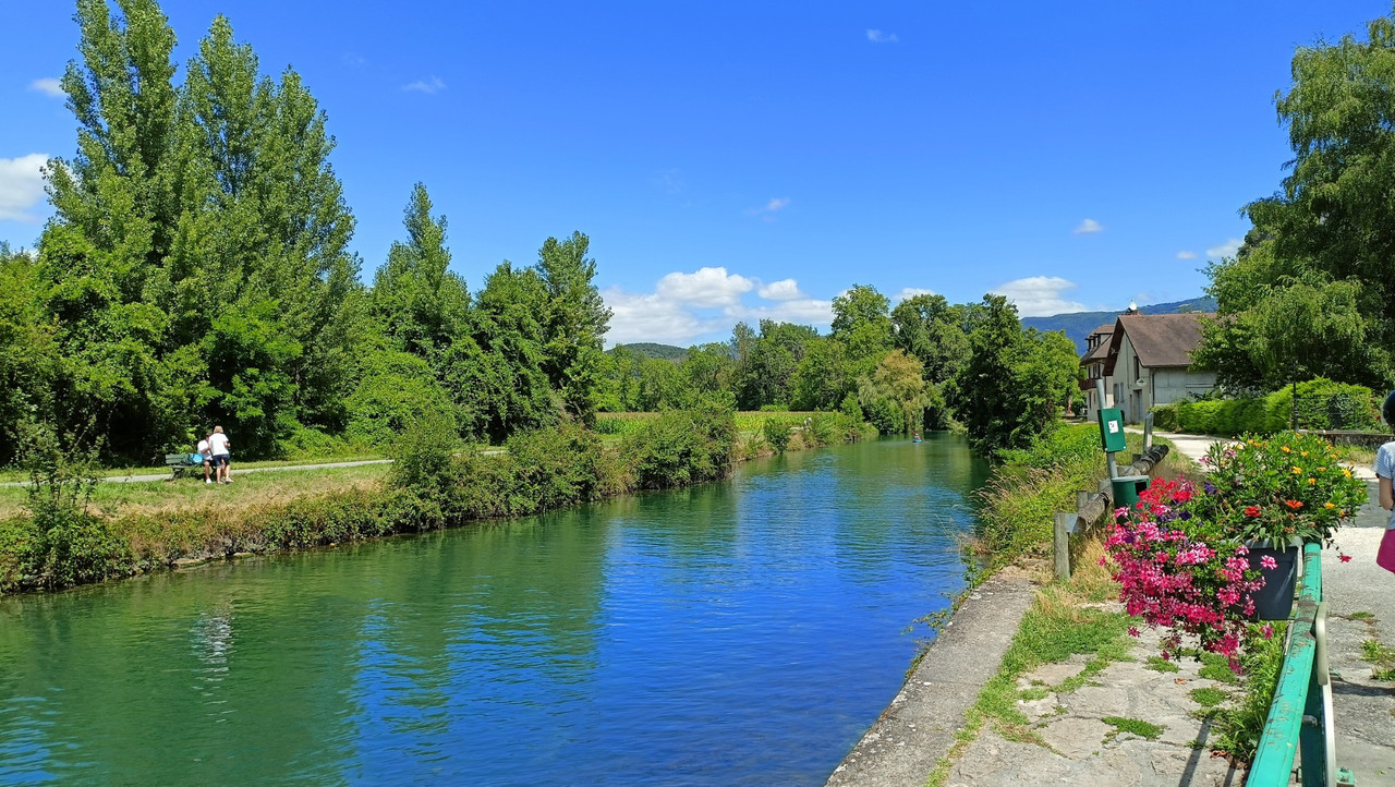 IMG20250722133603 (Large)