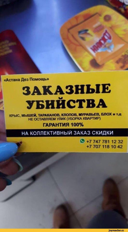 32395189_1511918068913023_3902754181064163328_n