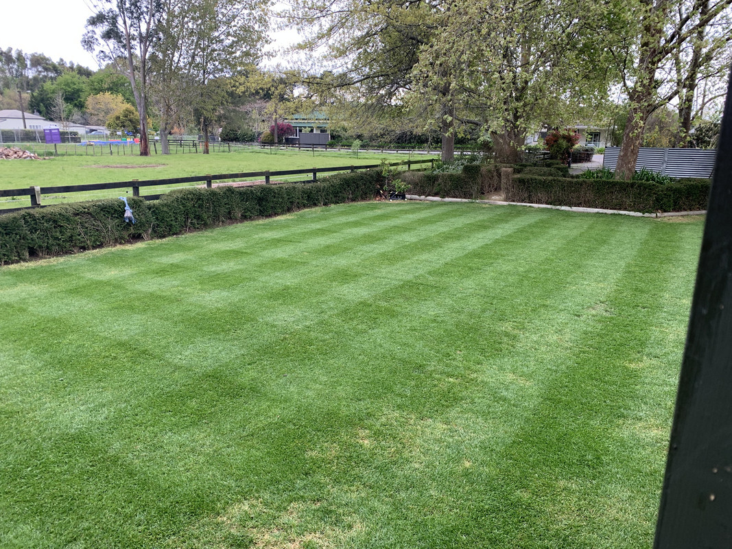 C7F8F6D9-CFDB-41BB-BCE4-29A197AC58B7