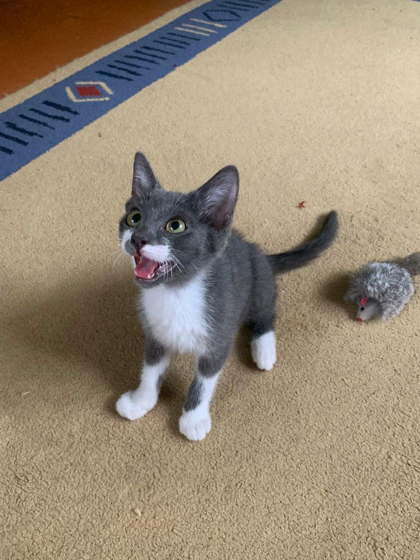 1E7542FF-48F9-4F64-8B1C-CB801DA10617