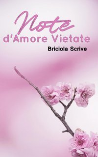 Briciola Scrive - Note d'amore vietate (2024)