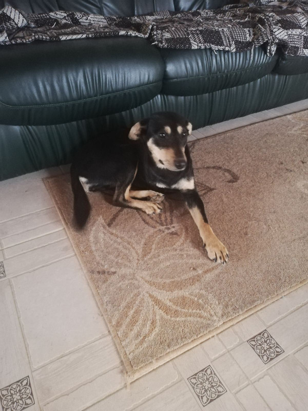 B698891E-5982-485C-B93D-9698EF8F9CA7