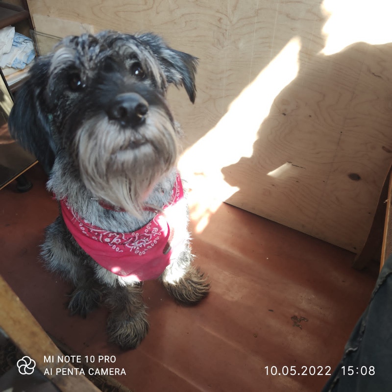 99EEA9B4-C328-4711-B91E-D17BFF2BA86A