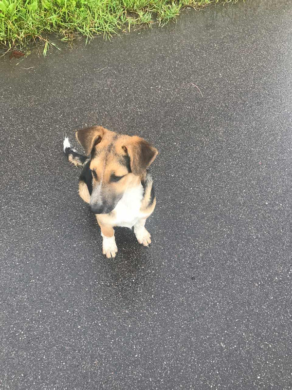 IMG-07b92ead8284efefa808f515e1ee5eb8-V