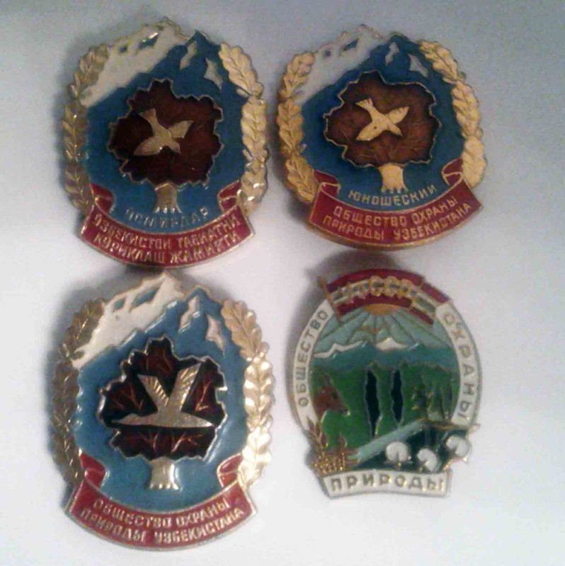 2 юношеских и еще 2