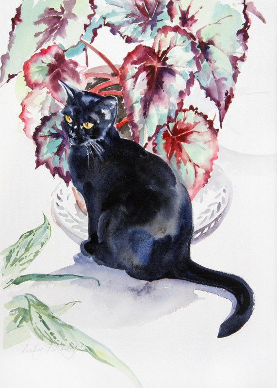 AMY-AND-BEGONIA-1-C19091-1
